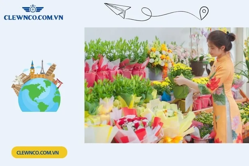 Shop hoa lan hồ điệp