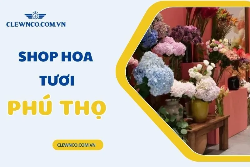 Top 10 Shop Hoa Tươi Phú Thọ Đẹp, Chất Lượng, Giao Tận Nơi