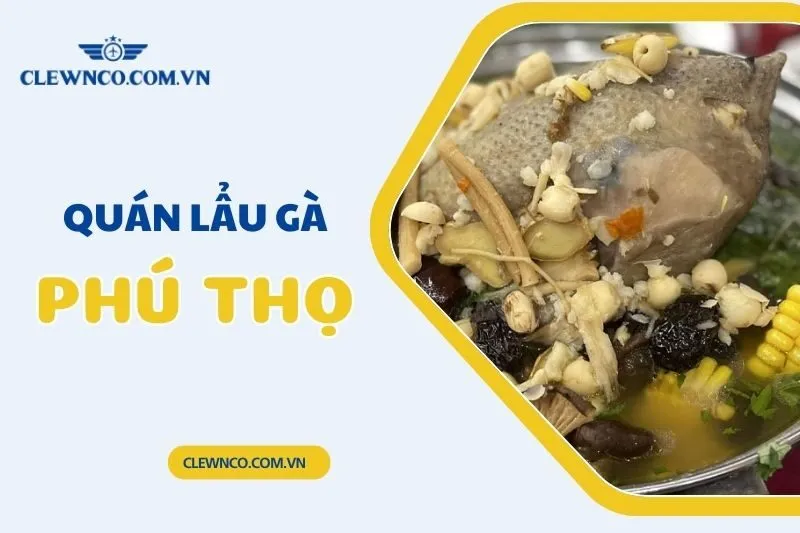 Top 20 Quán Lẩu Gà Phú Thọ Ngon Nhất, Giá Cả Hợp Lý