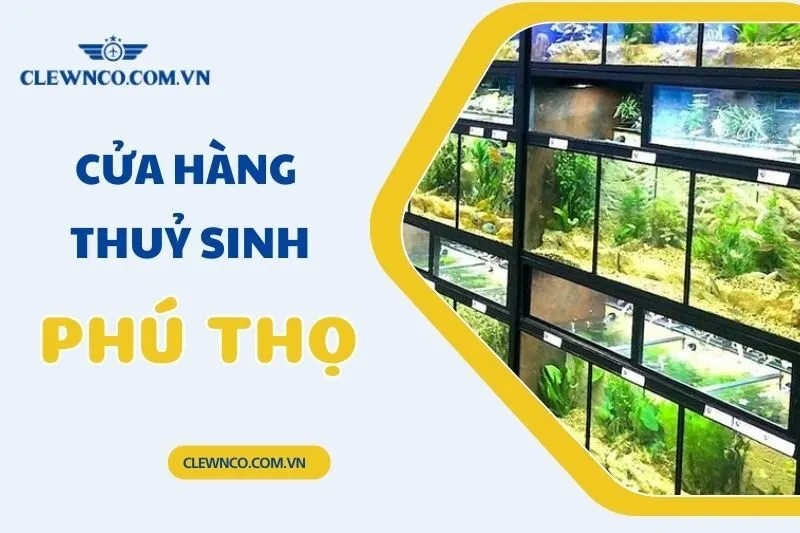 Top 6 cửa hàng thủy sinh Phú Thọ uy tín, giá tốt 2025