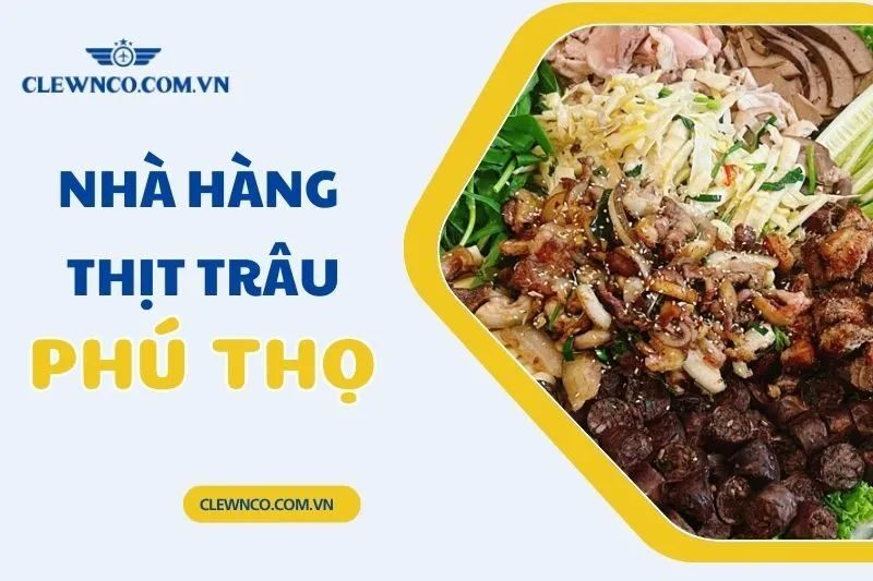 Top 7 Nhà Hàng Thịt Trâu Phú Thọ Ngon Và Đáng Thử Nhất 2025