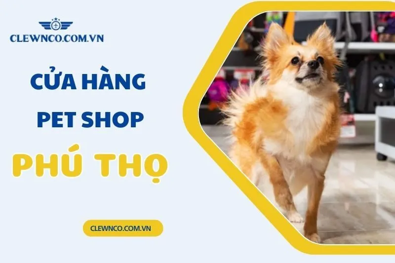 Top 8 Cửa Hàng Pet Shop Phú Thọ Uy Tín Nhất | Clewnco