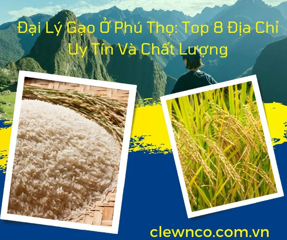 Đại Lý Gạo Ở Phú Thọ: Top 8 Địa Chỉ Uy Tín Và Chất Lượng