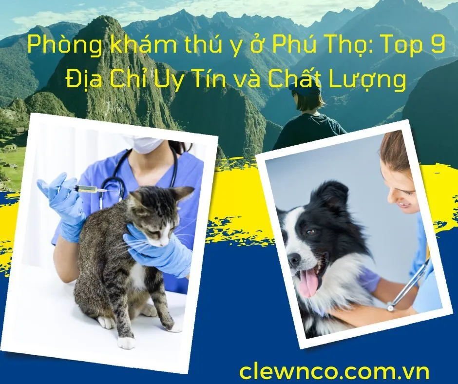 Phòng khám thú y ở Phú Thọ: Top 9 Địa Chỉ Uy Tín và Chất Lượng