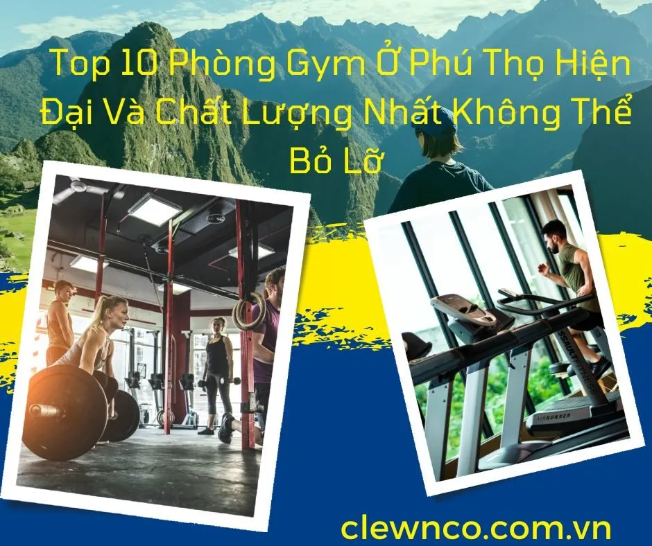 Top 10 Phòng Gym Ở Phú Thọ Hiện Đại Và Chất Lượng Nhất Không Thể Bỏ Lỡ