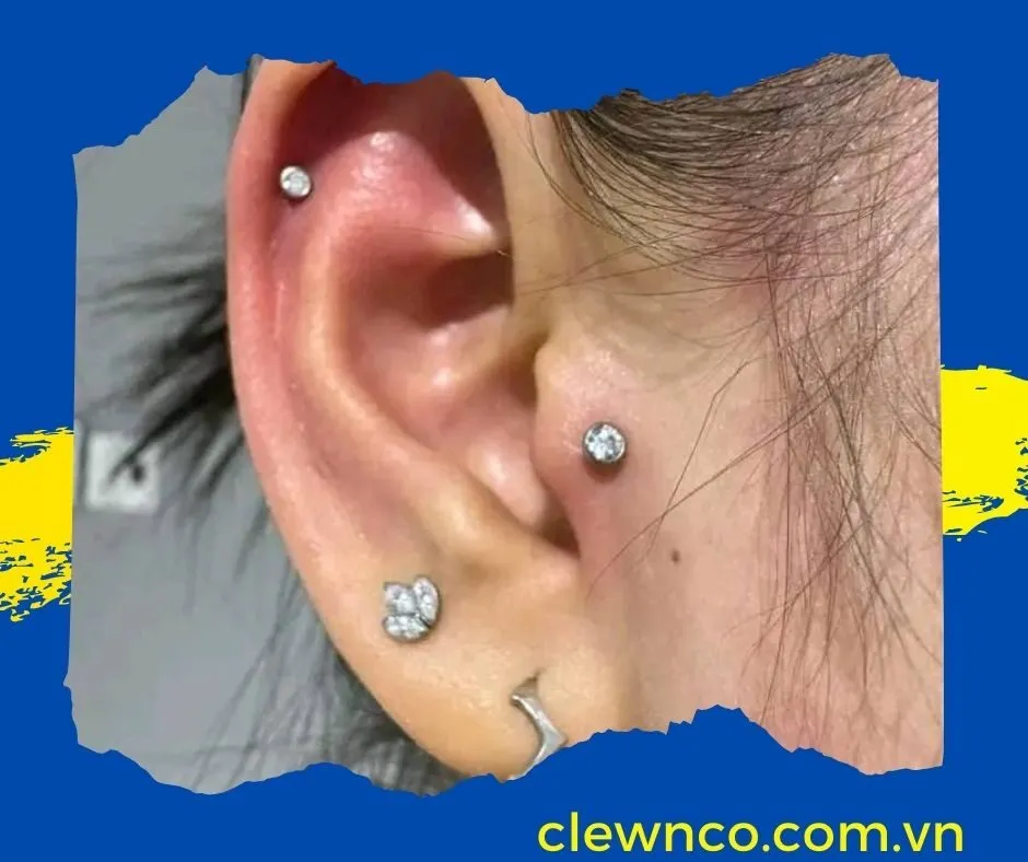 Xỏ Khuyên Việt Trì