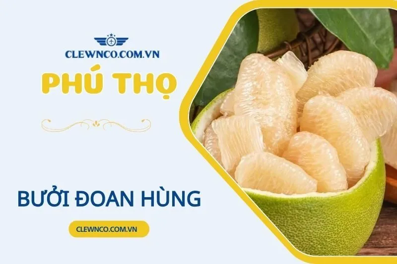 BƯỞI ĐOAN HÙNG PHÚ THỌ