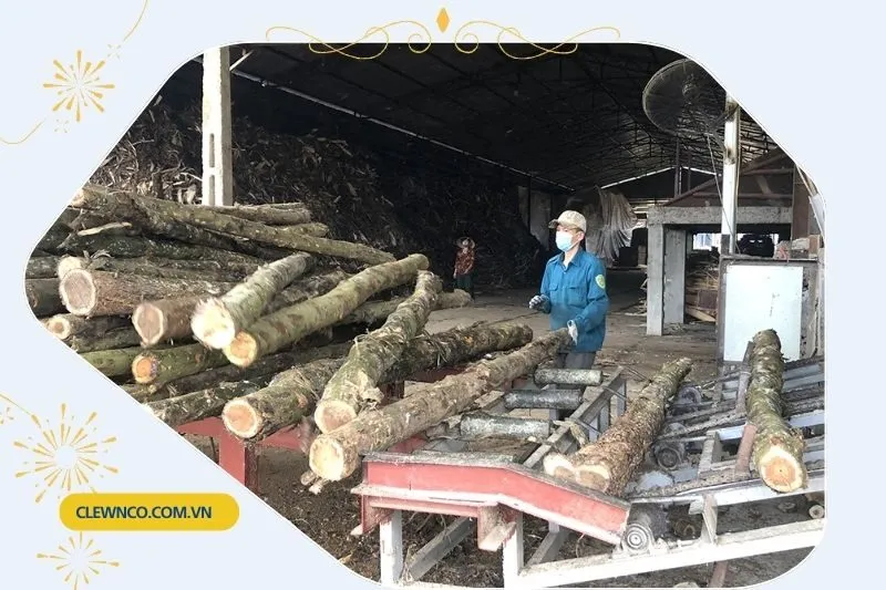 Các Làng Nghề Truyền Thống Của Hạ Hòa