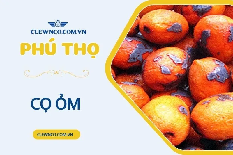 Cọ Ỏm Phú Thọ