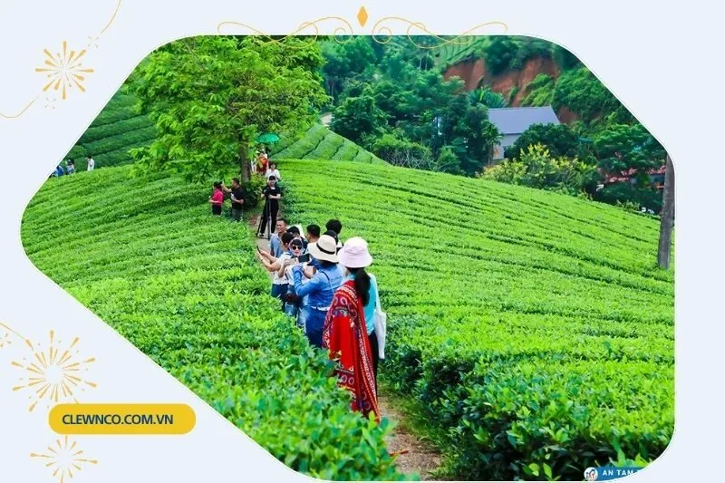 Du lịch và khám phá Đồi chè Long Cốc