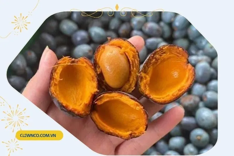 Hương vị và lợi ích của cọ ỏm Phú Thọ