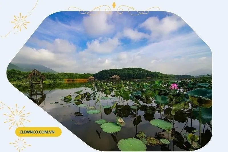 Khám Phá Hệ Sinh Thái Đặc Sắc của Đầm Vân Hội