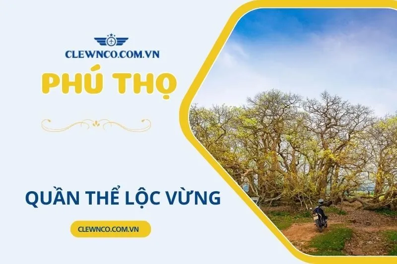 QUẦN THỂ LỘC VỪNG PHÚ THỌ