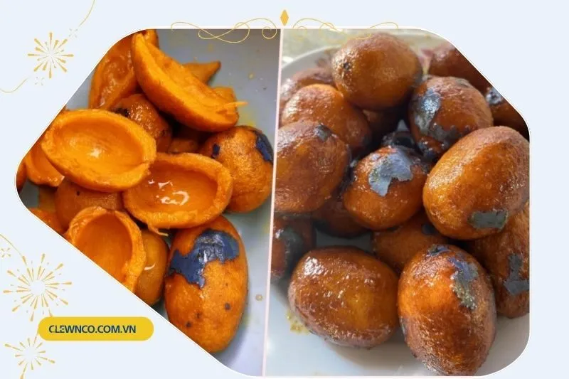 Thông tin chung về Cọ ỏm Phú Thọ
