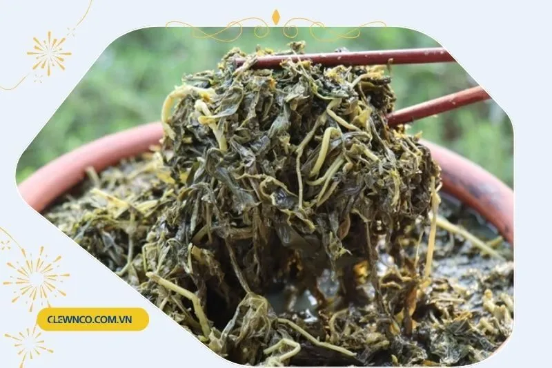 Thông tin chung về Rau sắn Phú Thọ