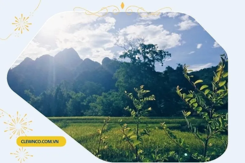 Tổng Quan Về Bản Cỏi Phú Thọ