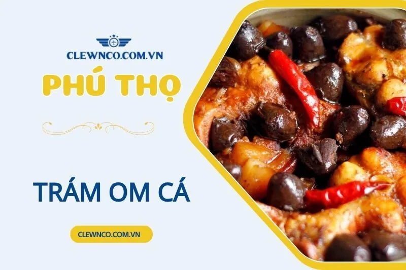 TRÁM OM CÁ PHÚ THỌ